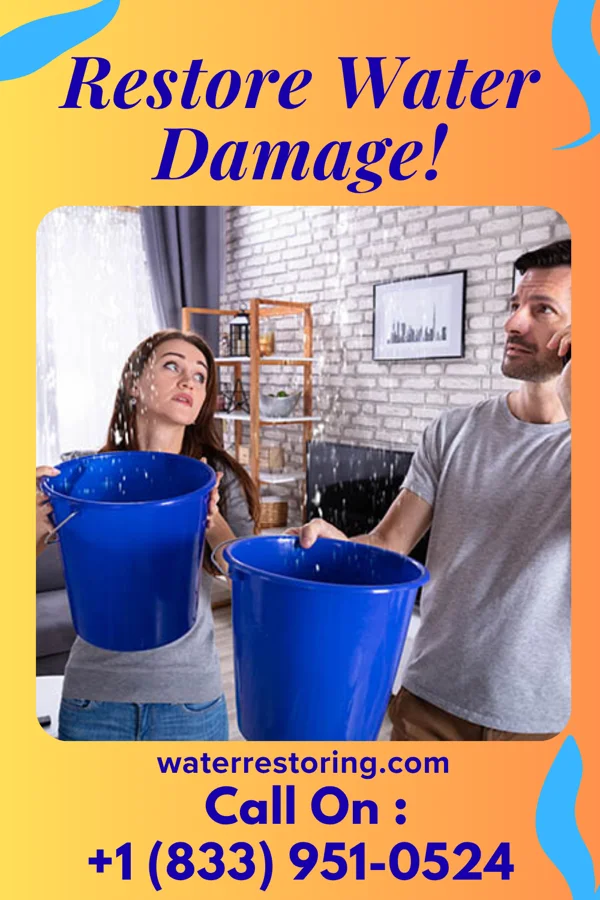 water restoration Ideal Restoration Solutions Ben Avon Heights