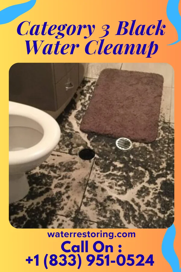 Category 3 Black Water Cleanup in Ben Avon Heights, PA