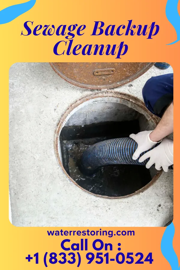 Sewage Backup Cleanup in Ben Avon Heights, PA