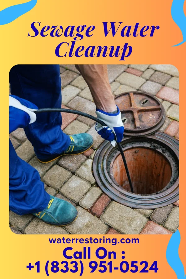 Sewage Water Cleanup in Ben Avon Heights, PA